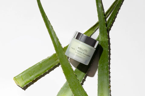 WellFit Cleanser